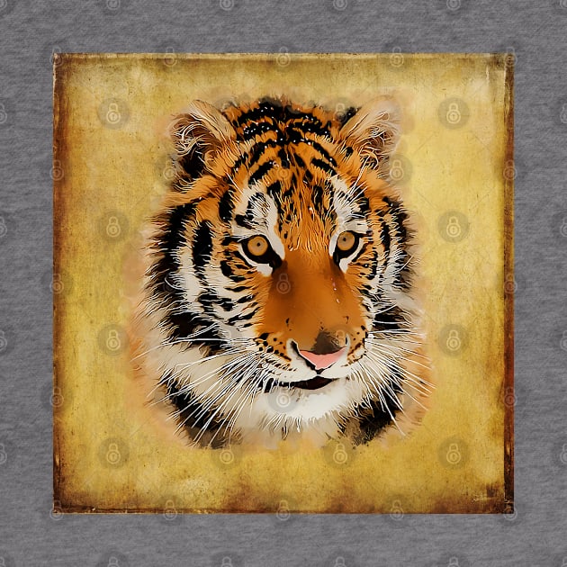 The Tiger Stare / Watercolour Art by Naumovski